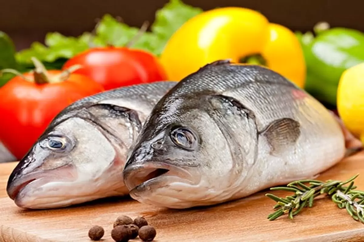 خواص و مضرات ماهی قزل آلا؛ طبع ماهی قزل آلا گرم است یا سرد؟