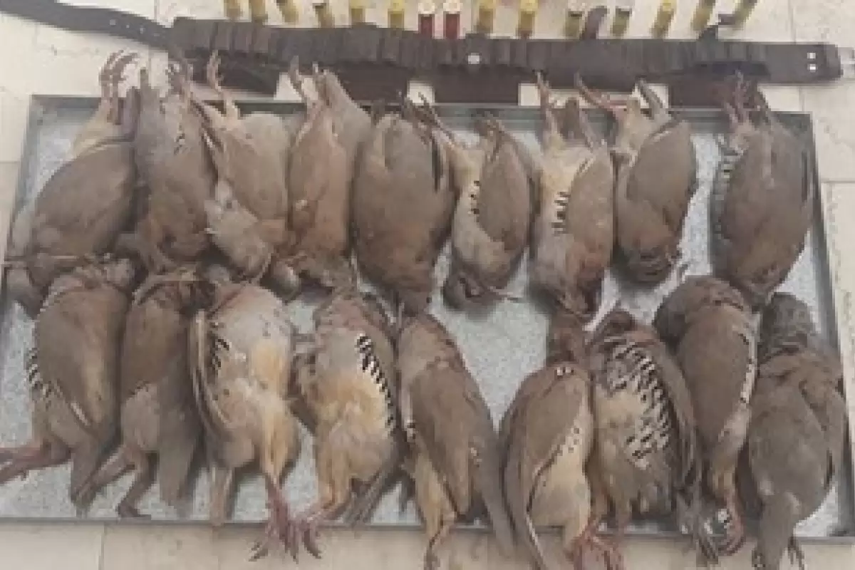 کشف ۳۲ پرنده شکار شده در بازرسی از خانه‌ای در شهر خِشت 