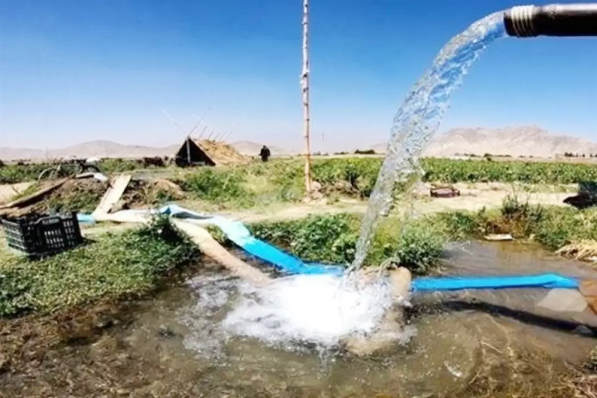 کشاورزان سیستان و بلوچستانی از برق رایگان بهره‌مند می‌شوند