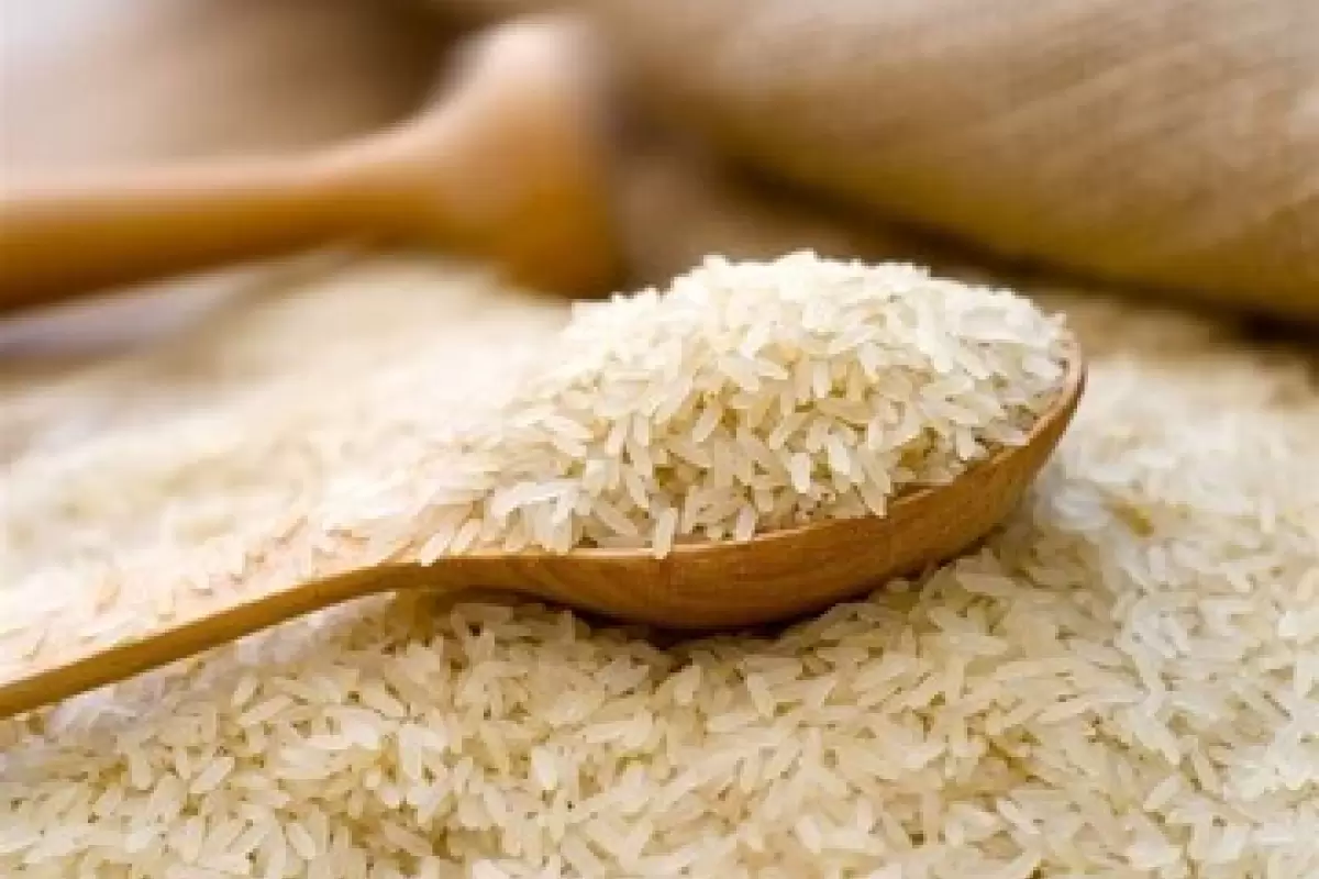 برنج ارزان می‌شود؟/ جدیدترین اظهارنظر درباره قیمت برنج