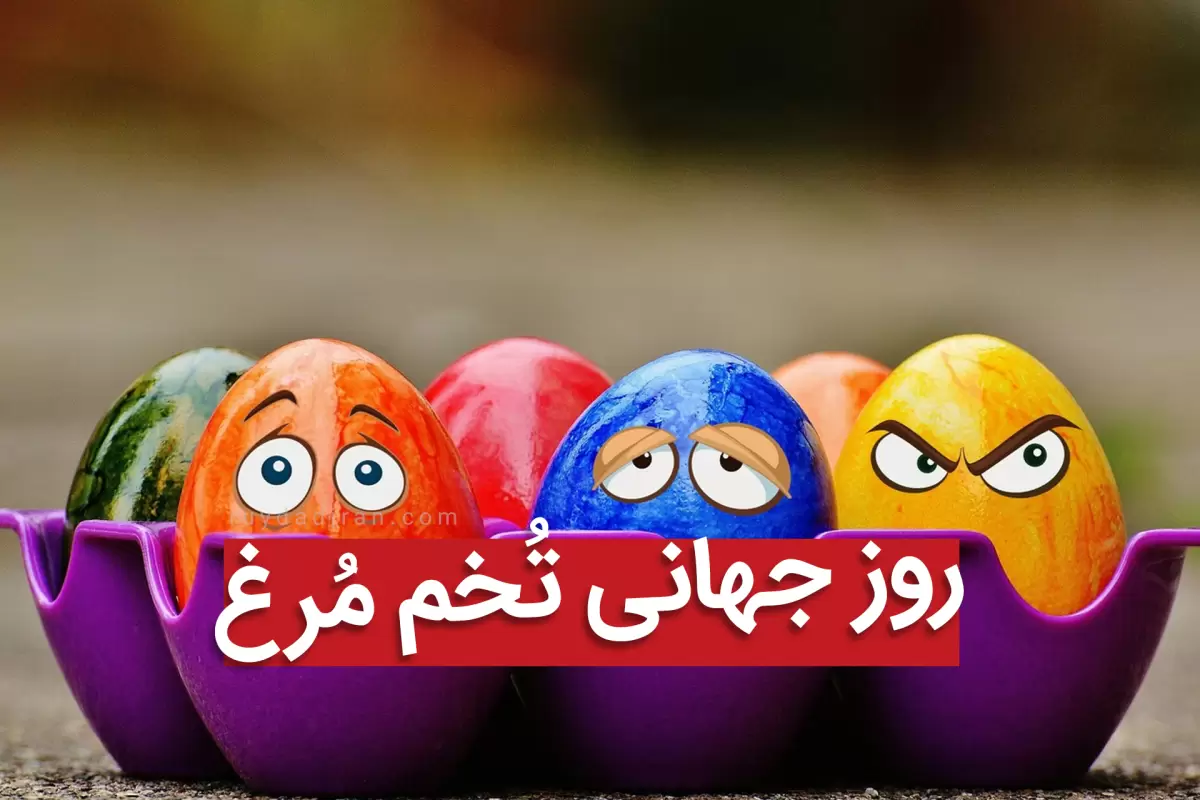 تاریخ روز جهانی تخم مرغ؛ حقایقی که دباره تخم مرغ نمی دانید