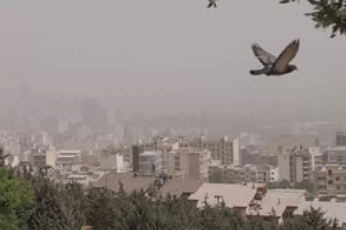 گزارش تحلیلی وضعیت شاخص آلودگی هوا در هشت کلانشهر کشور