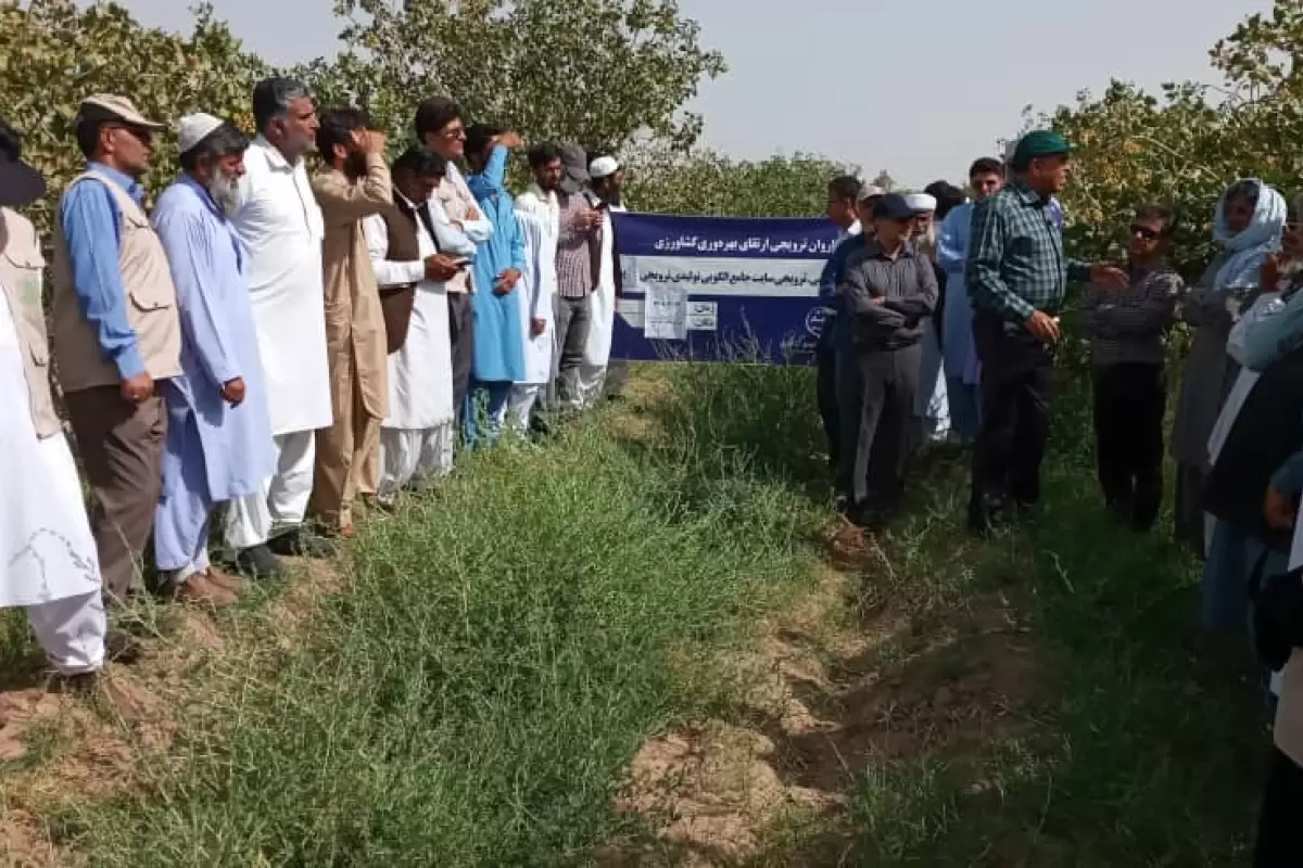 حرکت دومین کاروان ترویجی ارتقای بهره وری کشاورزی در سیستان وبلوچستان