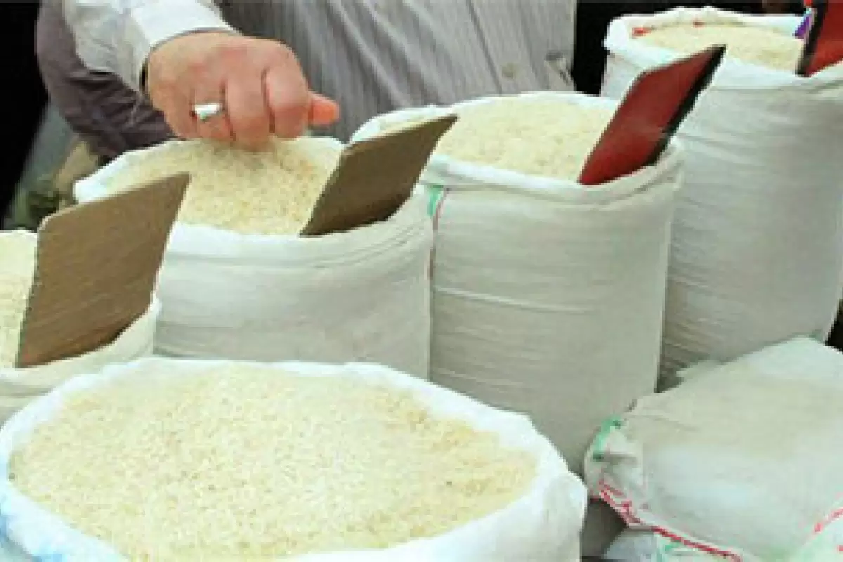 جدیدترین قیمت برنج در بازار / ۱۰ کیلو برنج ایرانی چند؟