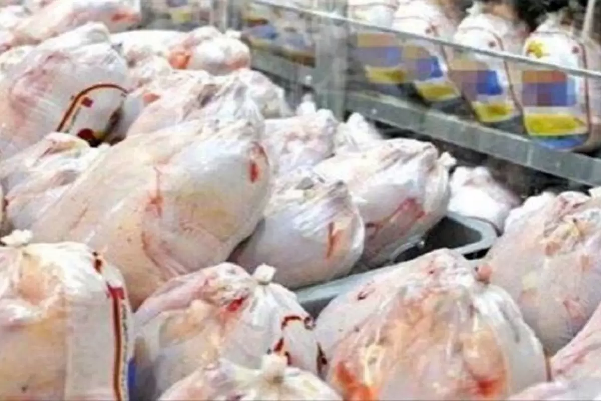 قیمت جدید هر کیلو مرغ اعلام شد / نرخ مرغ رو به افزایش
