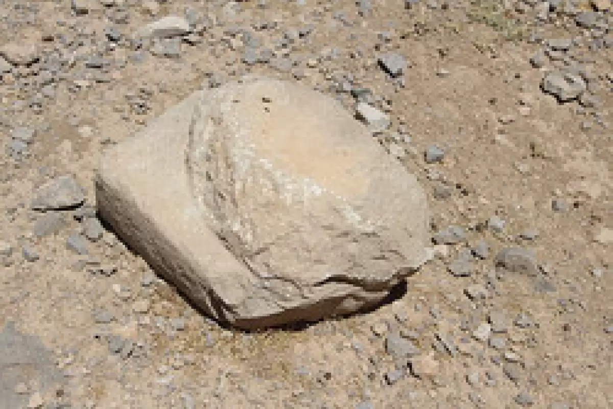 کشف یک پایه ستون ساسانی در فاروق مرودشت