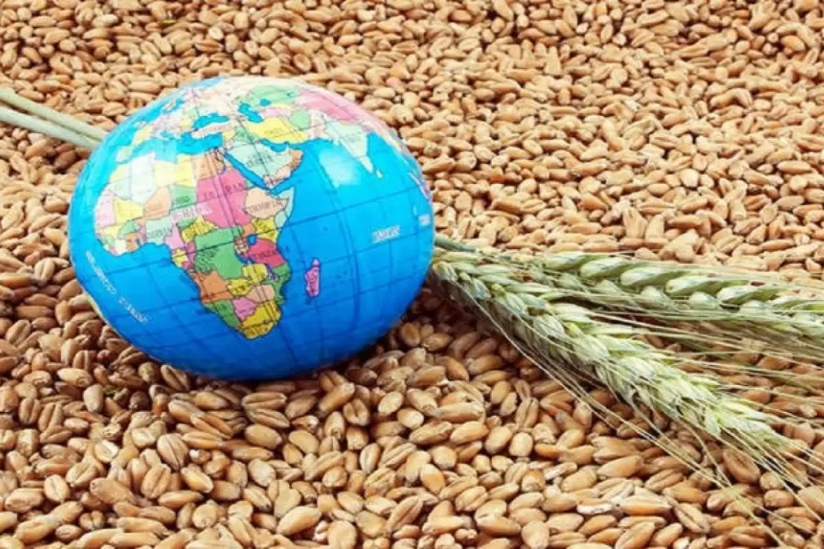 بحران جهانی غذا چقدر وخیم خواهد شد؟