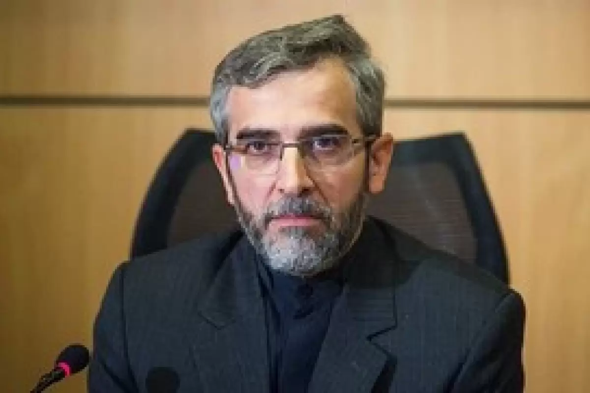 باقری: کشورهای اروپایی چگونه می‌توانند نگران وضعیت حقوق بشر در ایران باشند؟