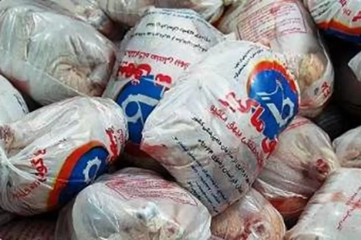 توزیع ۶٠٠ تن گوشت مرغ منجمد تنظیم بازار در سیستان و بلوچستان