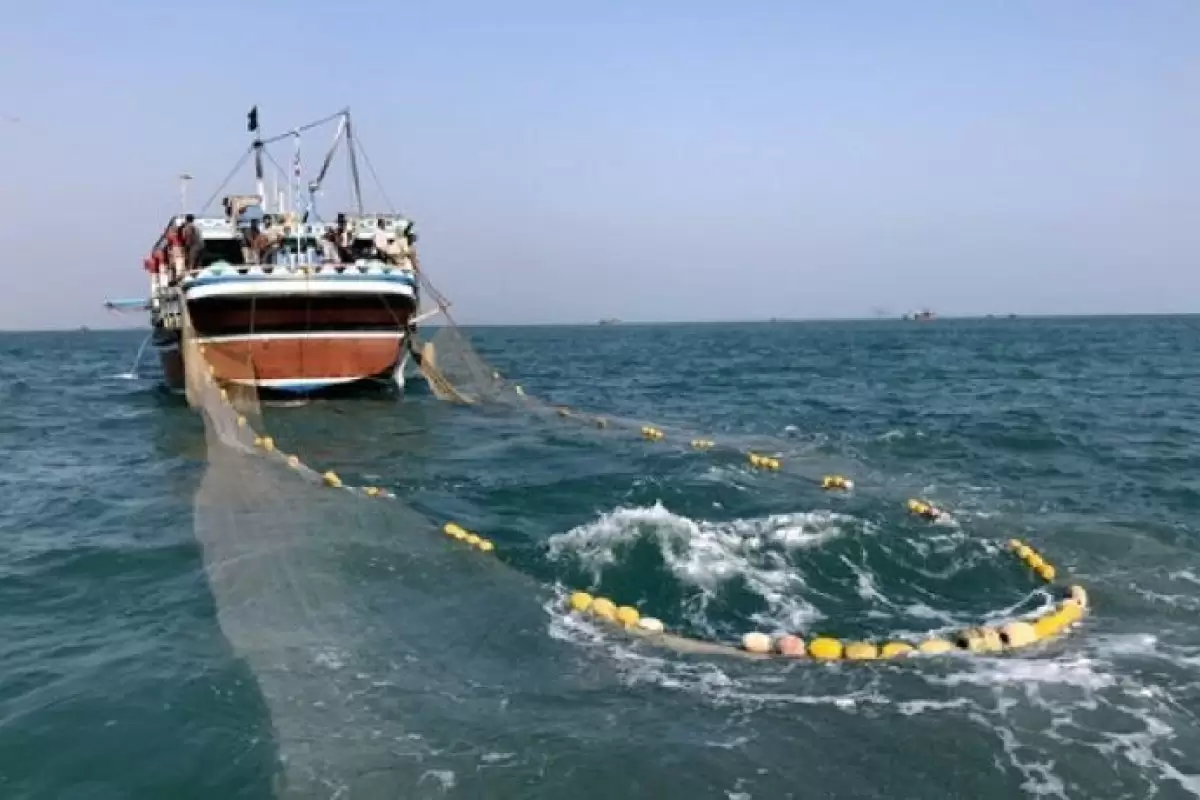 صید میگوی دریایی در آبهای ساحلی سیستان و بلوچستان آزاد شد
