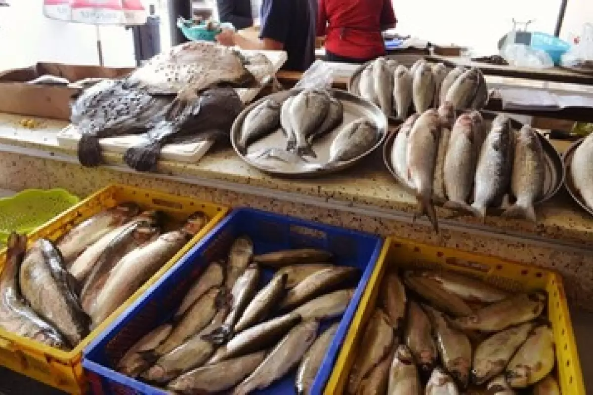 قیمت روز ماهی در بازار / فیله ماهی شوریده چند؟
