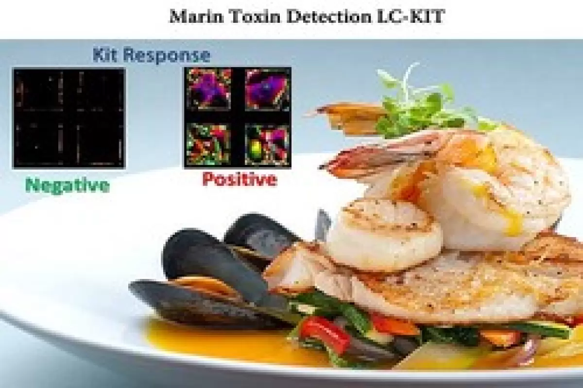 سنسورهای تشخیص آلاینده‌ها در غذاهای دریایی طراحی شد