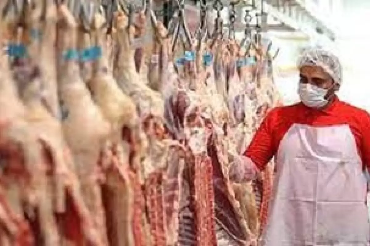 قیمت گوشت امروز ۱ آذر ۱۴۰۱