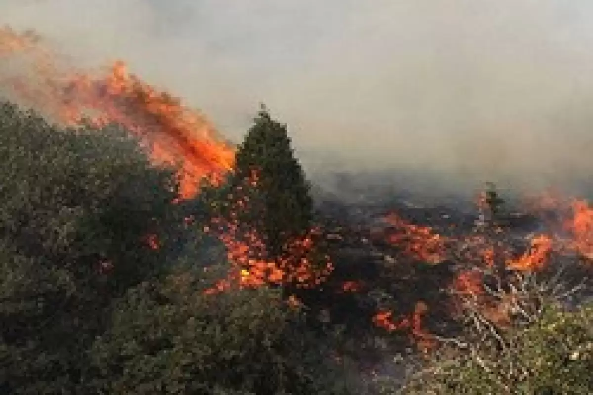 حریق ۴۵هکتار از اراضی جنگلی گیلان/آتش سوزی‌ها به طور کامل مهار شد