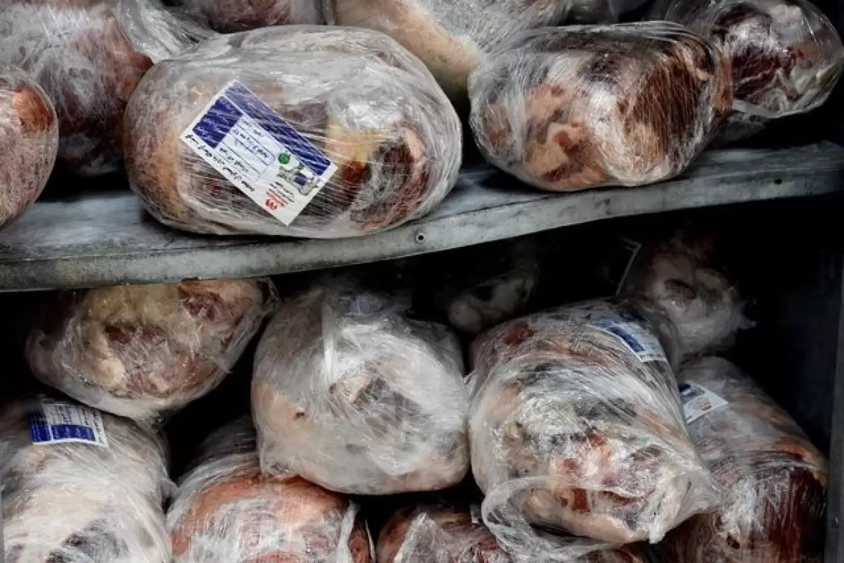 توزیع ۵۵۸تن گوشت قرمز منجمد تنظیم بازار در سیستان‌وبلوچستان