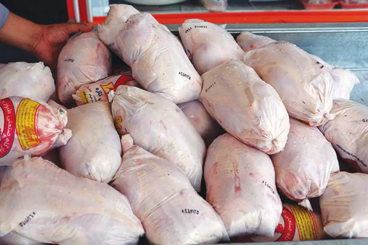 عصیان مرغ؛ قیمت مرغ به کیلویی ۱۰۰ هزار تومان رسید