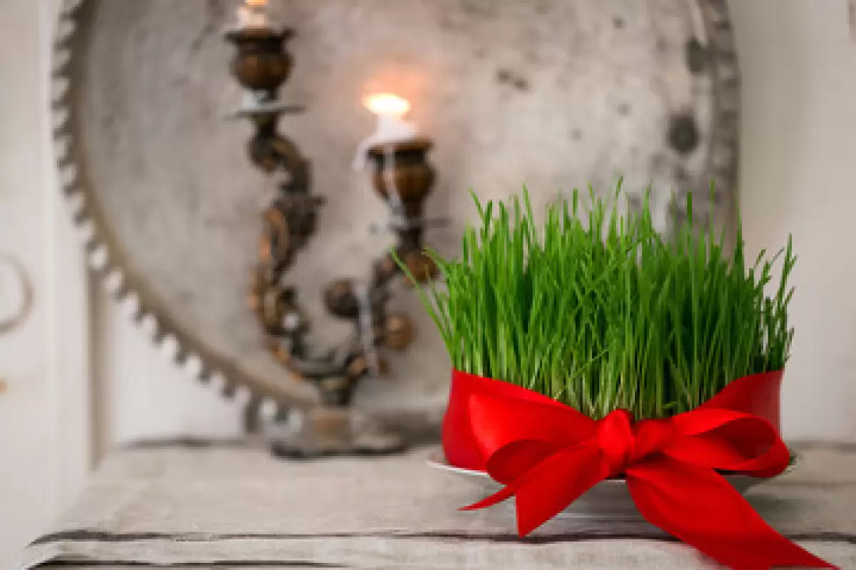 سیزده به در؛ فرصتی برای گره زدن سبزه زندگی به طبیعت