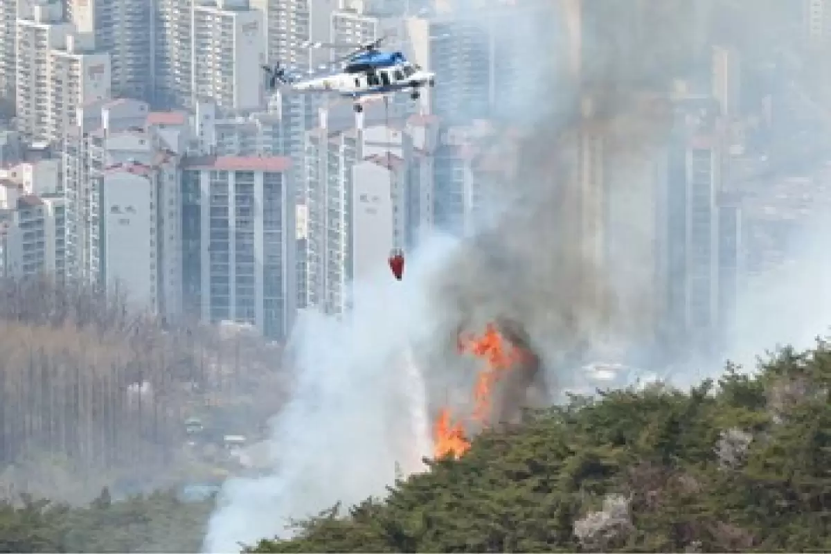 آتش سوزی گسترده در جنگل مرکزی سئول/ تخلیه ۱۲۰ خانه