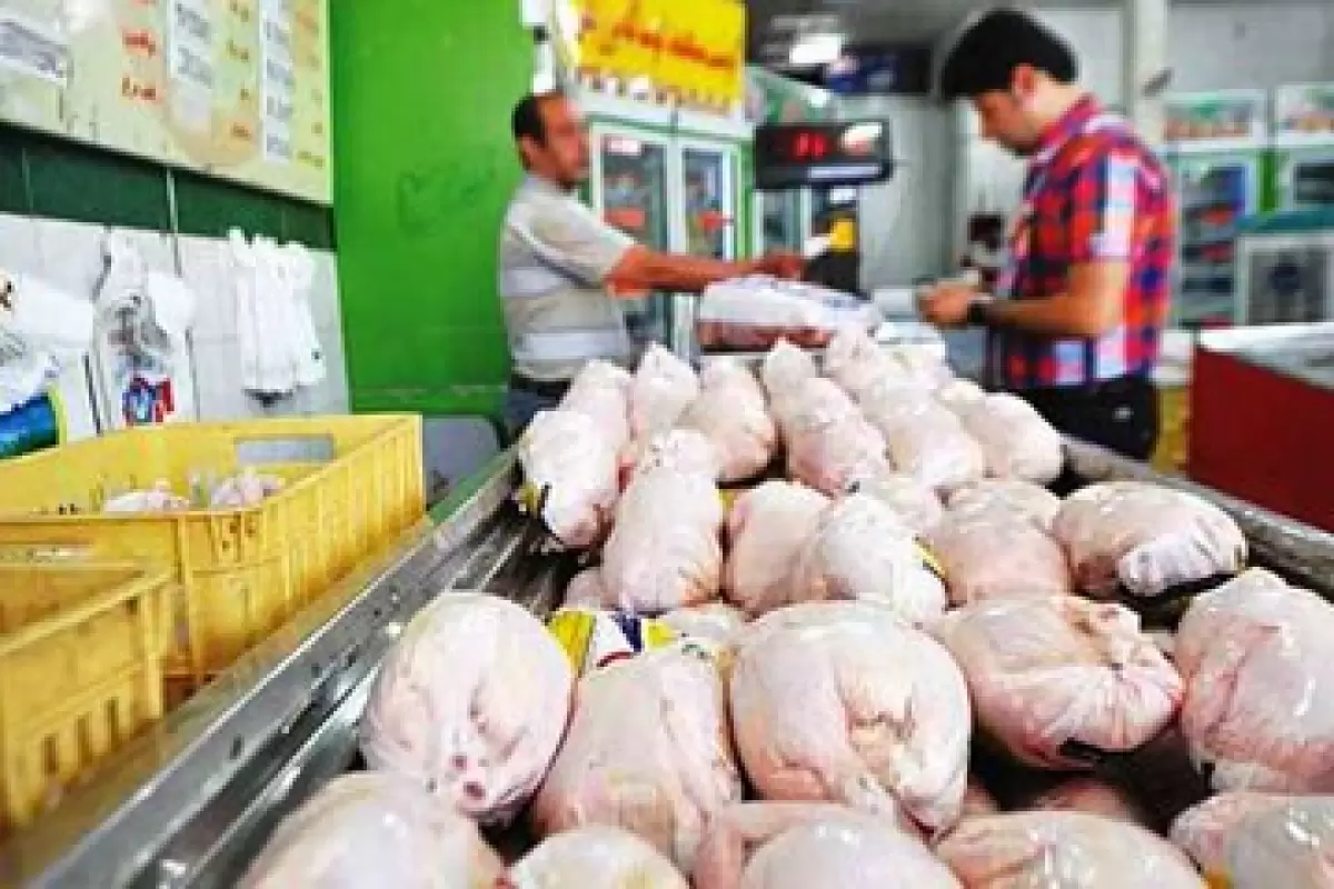 قیمت مرغ؛ ۳۰ هزار تومان گران‌تر از نرخ مصوب