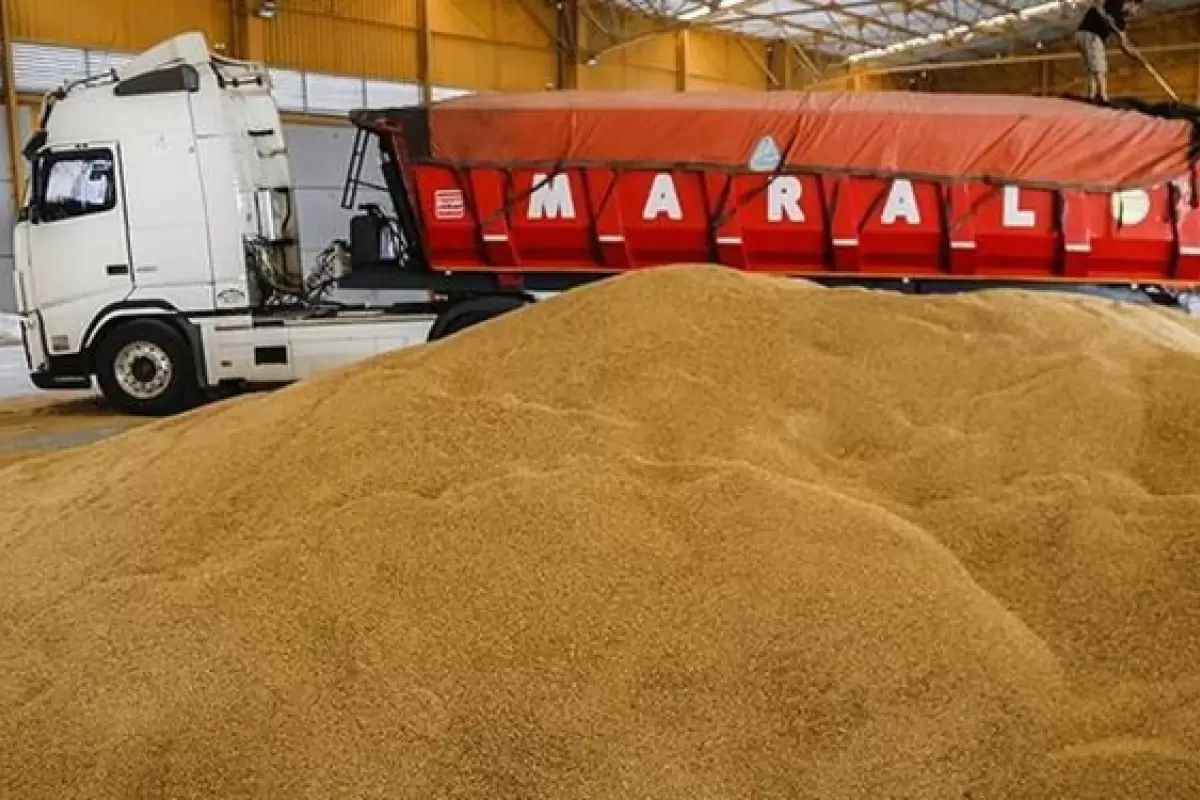 3 میلیون و 400 هزار تن گندم از کشاورزان خریداری شد