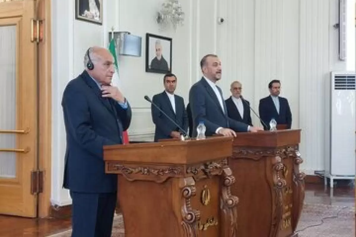 امیرعبداللهیان خبر داد: توافق ایران و الجزایر برای لغو روادید سیاسی