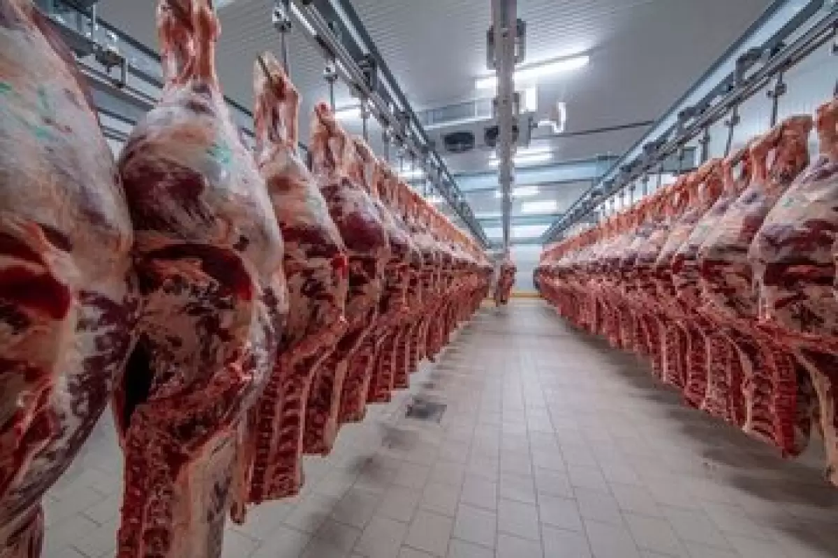  ۲۰۰ هزار تن گوشت قرمز کنیا در راه بازار ایران