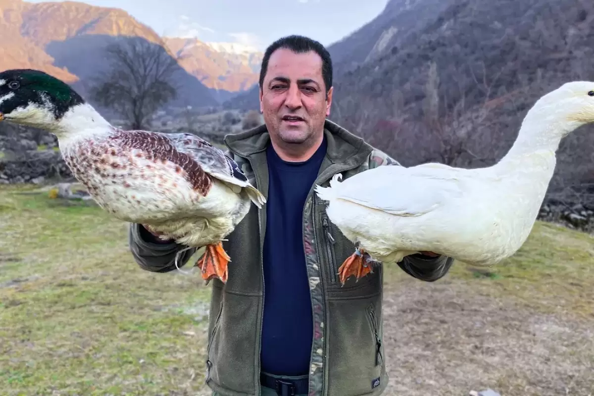 (ویدئو) غذای روستایی؛ دستور العمل ساده، اما بسیار خوشمزه برای پخت اردک در فر با سیب زمینی
