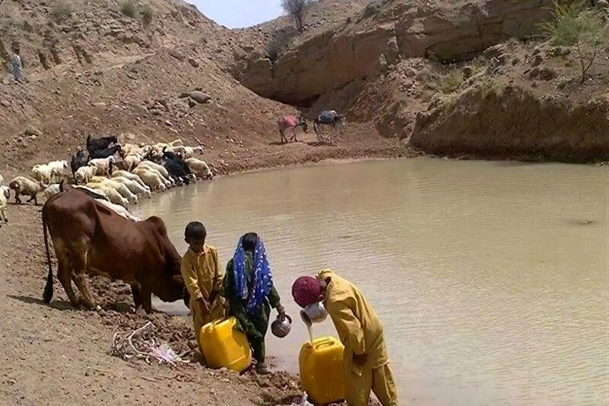 مردم بلوچستان در تنگنای آب آشامدنی؛ پناه بردن از تشنگی به کام گاندو