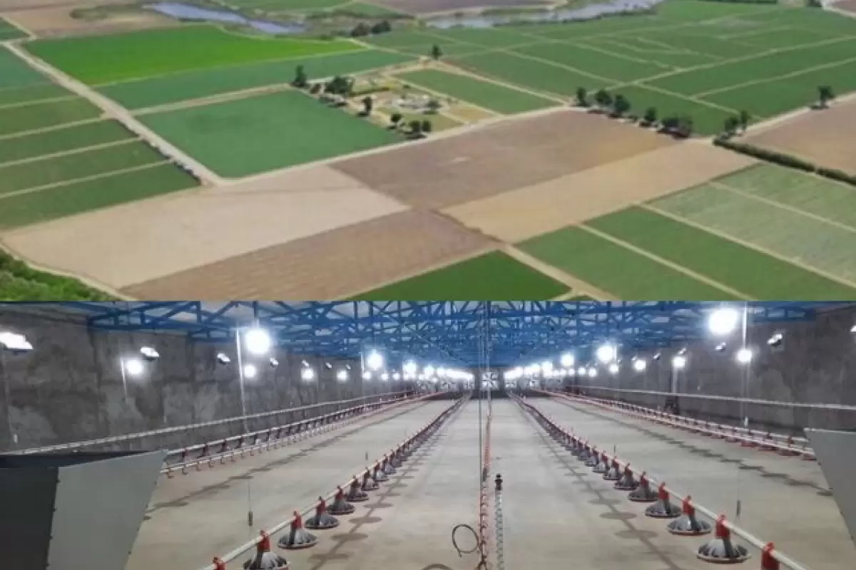 واگذاری ۳۵هکتار از اراضی ملی و دولتی برای ساخت واحدهای مرغداری در سیستان‌وبلوچستان