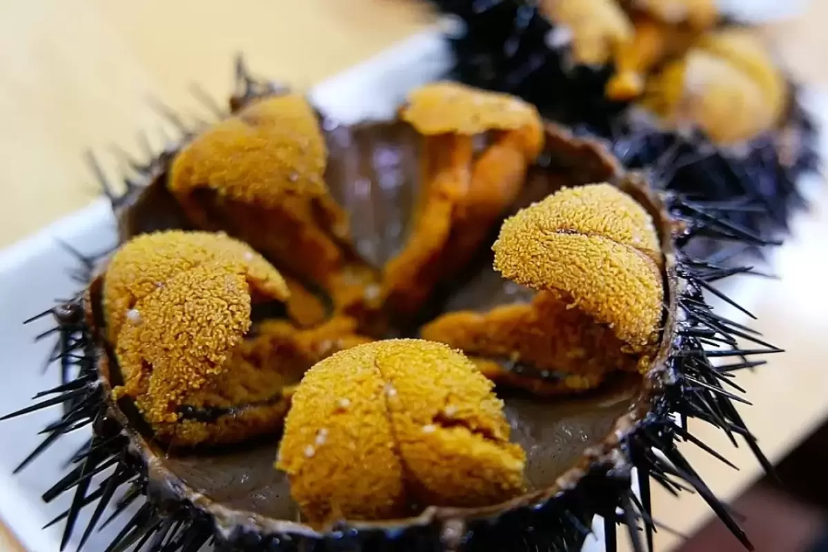 (ویدئو) سرو خارپشت دریایی غول پیکر؛ غذای عجیب و 2 میلیون تومانی ژاپنی ها