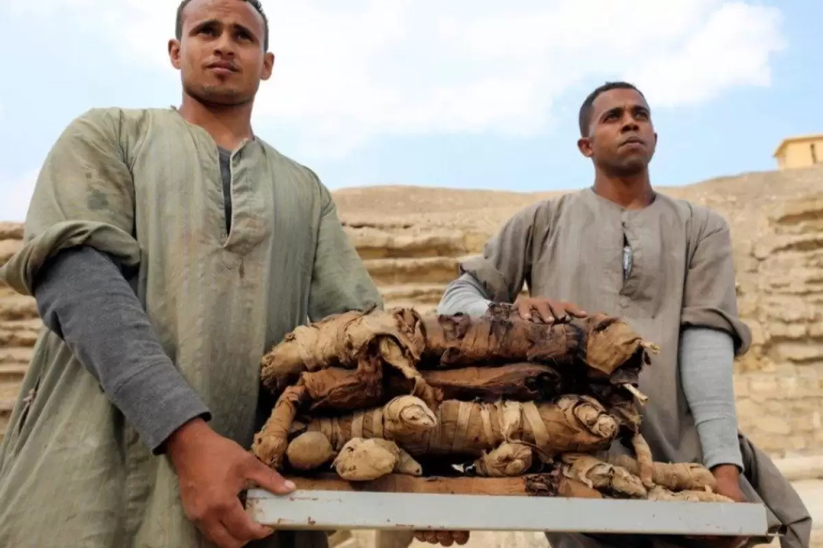 (عکس) کشف مومیایی 8 میلیون حیوان در یک قبرستان تاریخی در مصر