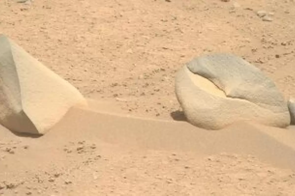 دیده شدن کوسه در مریخ!