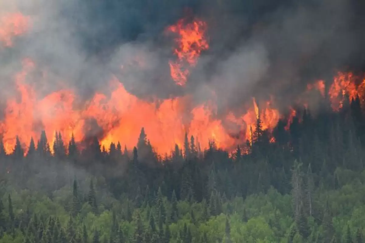 آتش سوزی وسیع در جنگل‌های ترکیه