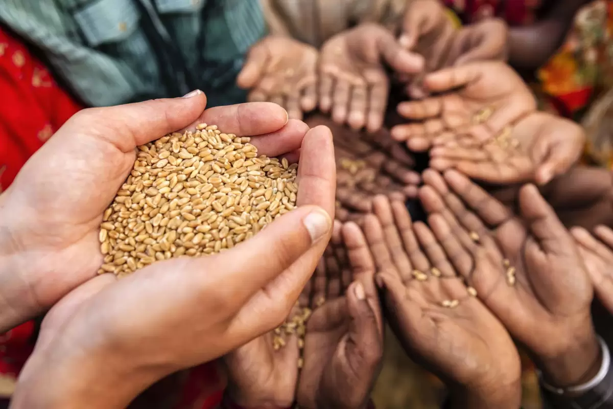 افزایش تورم مواد غذایی در کمین جهان