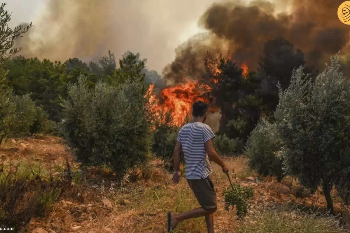 (ویدئو) آتش سوزی در مناطق جنگلی چاناک قلعه ترکیه