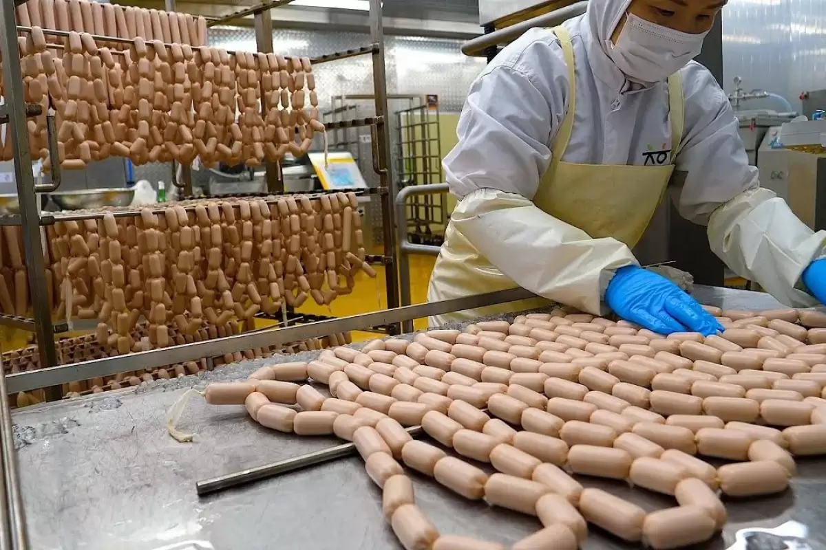 (ویدئو) عملیات حیرت انگیز و دیدنی تولید سوسیس سینه مرغ در کره جنوبی