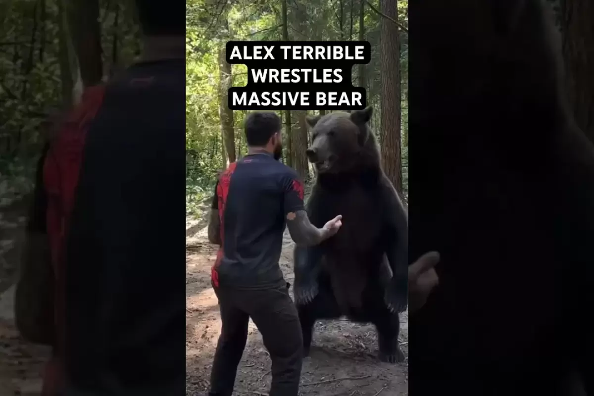 (ویدئو) دیدار هیجان انگیز خرس غول پیکر با مردی که در کودکی او را نجات داد