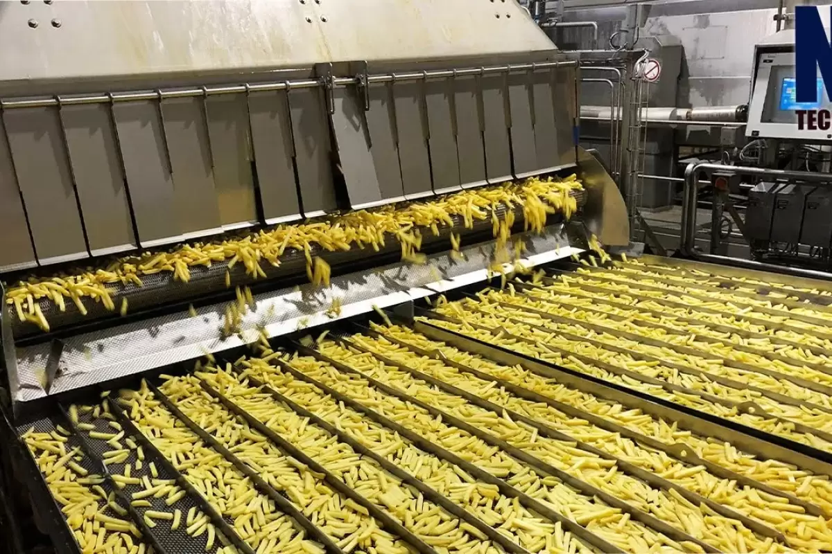 (ویدئو) عملیات شگفت انگیز تهیه سیب زمینی سرخ کرده ترد در یک کارخانه مدرن