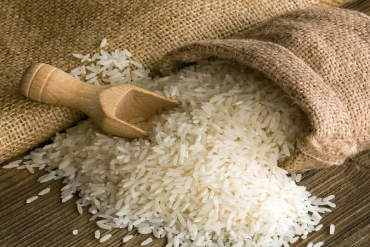 بلومبرگ: بحران برنج در فیلیپین و زنگ هشدار تورم جهانی این محصول