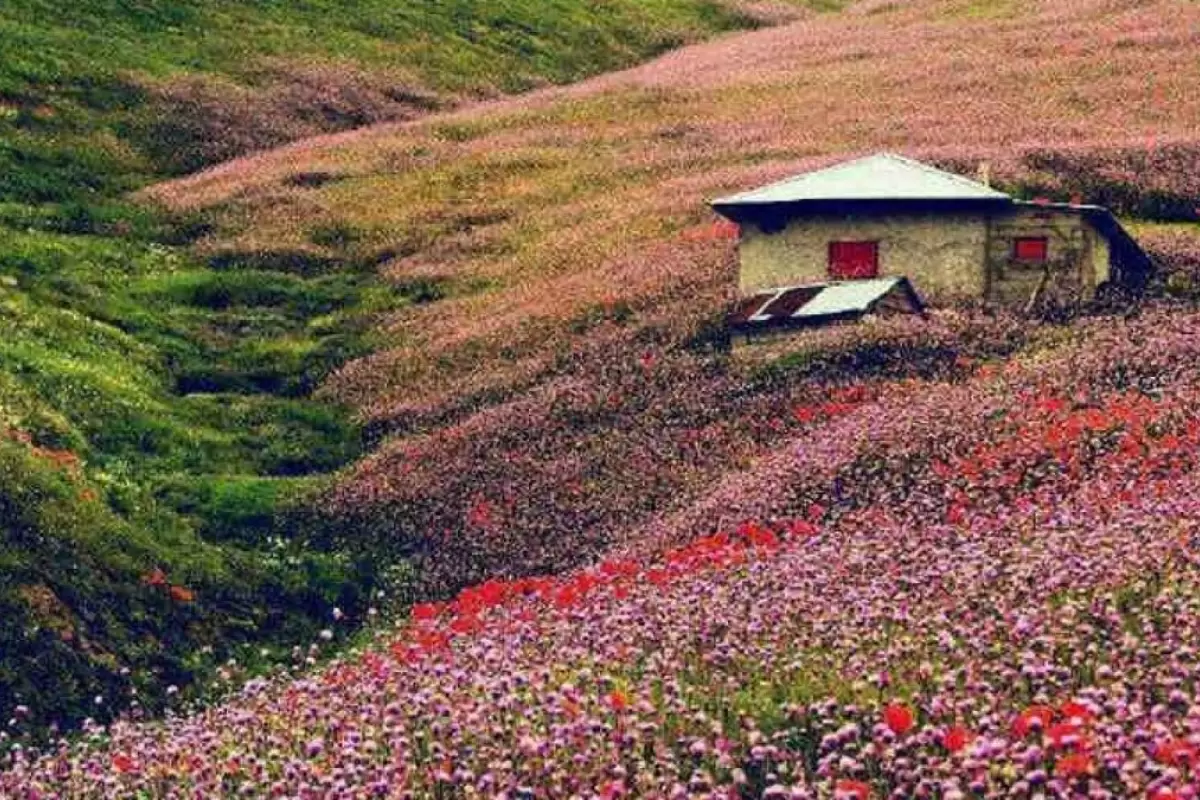 (عکس) نمایی تماشایی از جاده پاییزی اسالم به خلخال