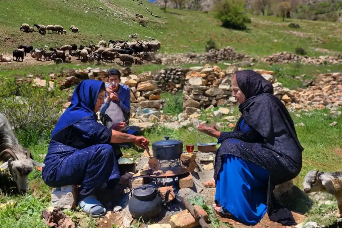 (ویدئو) زندگی عشایری؛ پخت گوجه پلو با شامی گوشت توسط زنان عشایر کردستانی