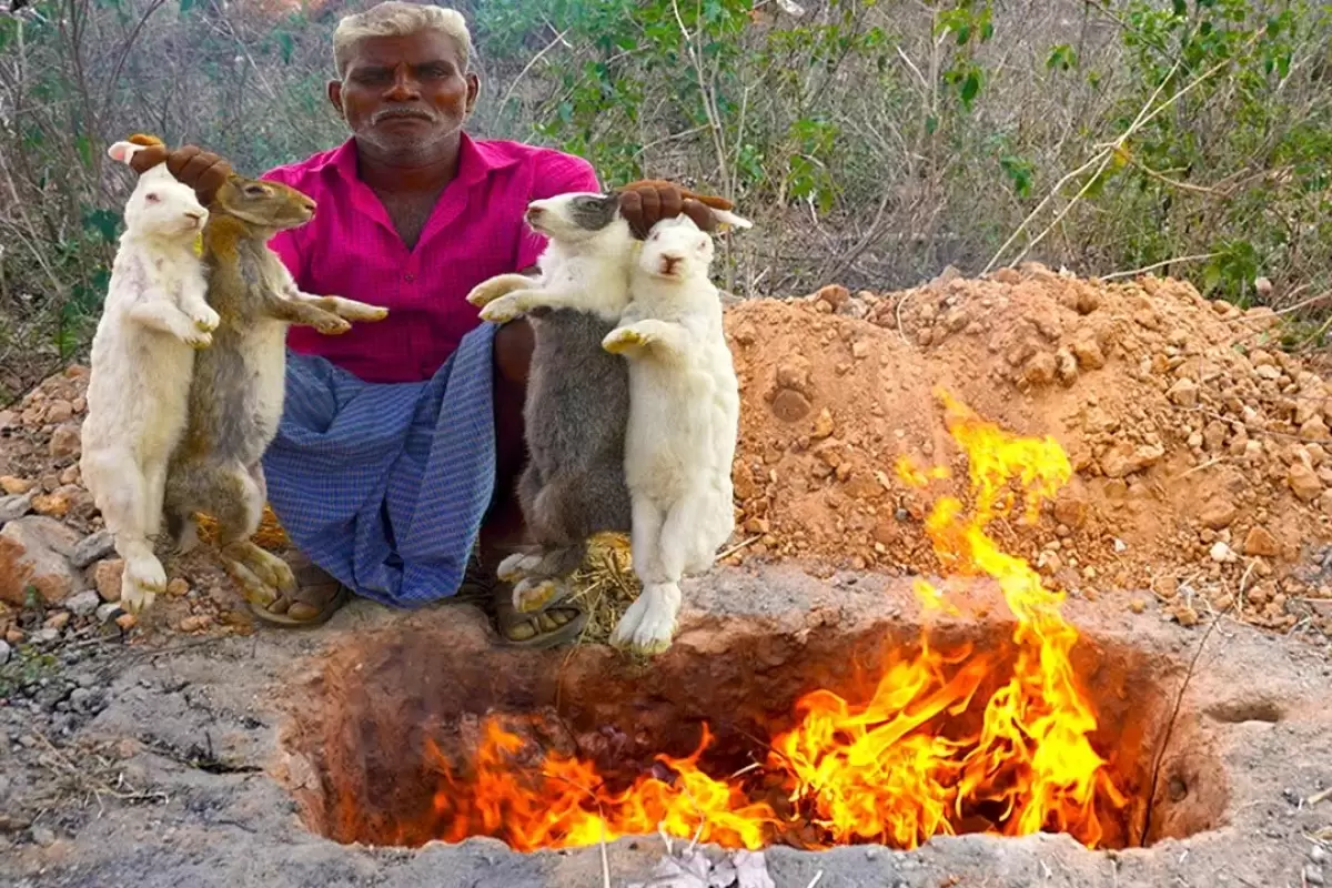 (ویدئو) پیرمرد هندی با یک روش قدیمی 4 خرگوش را در تنور زغالی کباب کرد