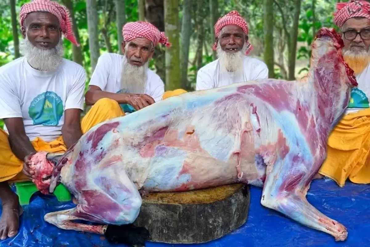 (ویدئو) ببینید این ۴ پدربزرگ هندی چگونه با بز ۵۰ کیلوگرمی بریانی طبخ می‌کنند