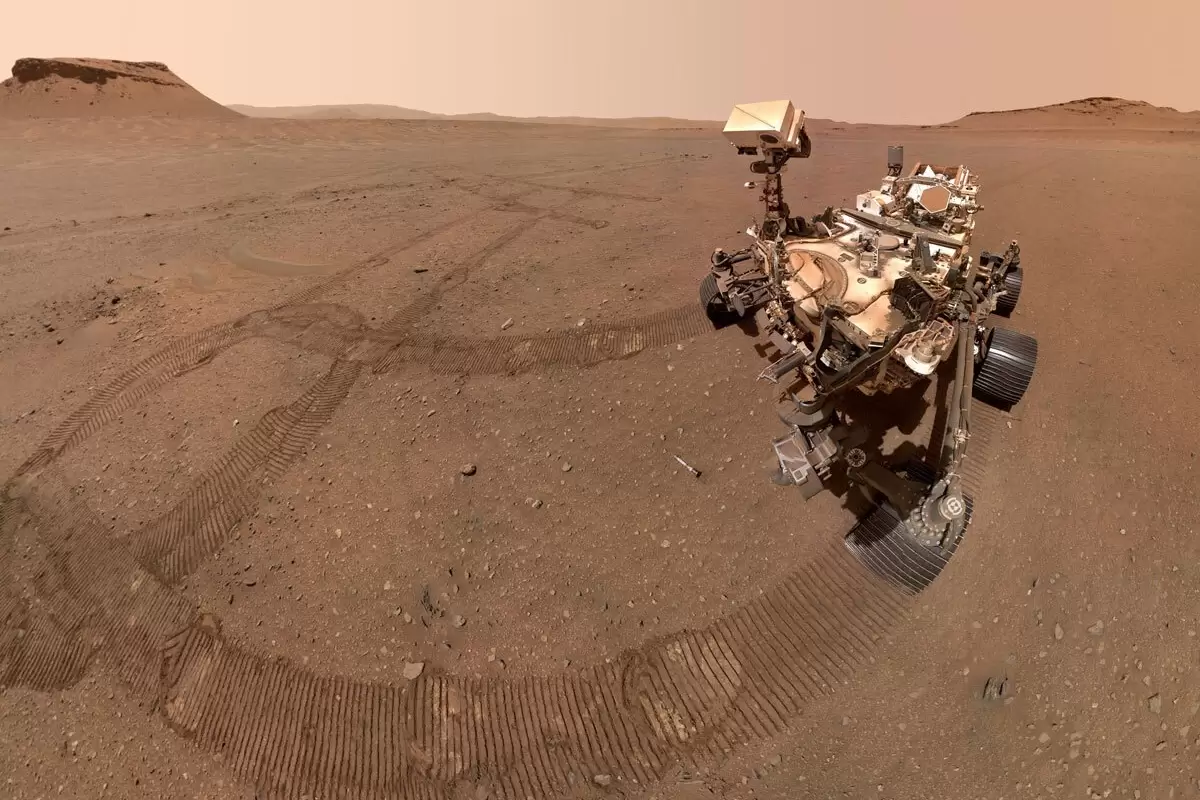 (عکس) در مریخ آووکادو پیدا شد/ شگفتی جدید سیاره سرخ