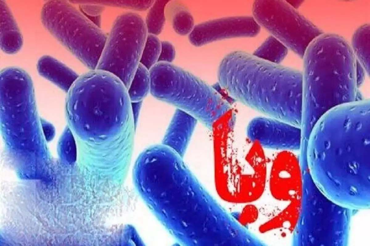 شناسایی اولین مبتلا به وبا در سقز
