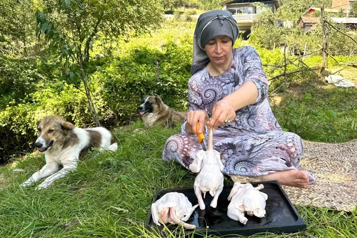 (ویدئو) طبخ هیجان انگیز مرغ شکم پر توسط این کدبانوی روستایی سوادکوهی