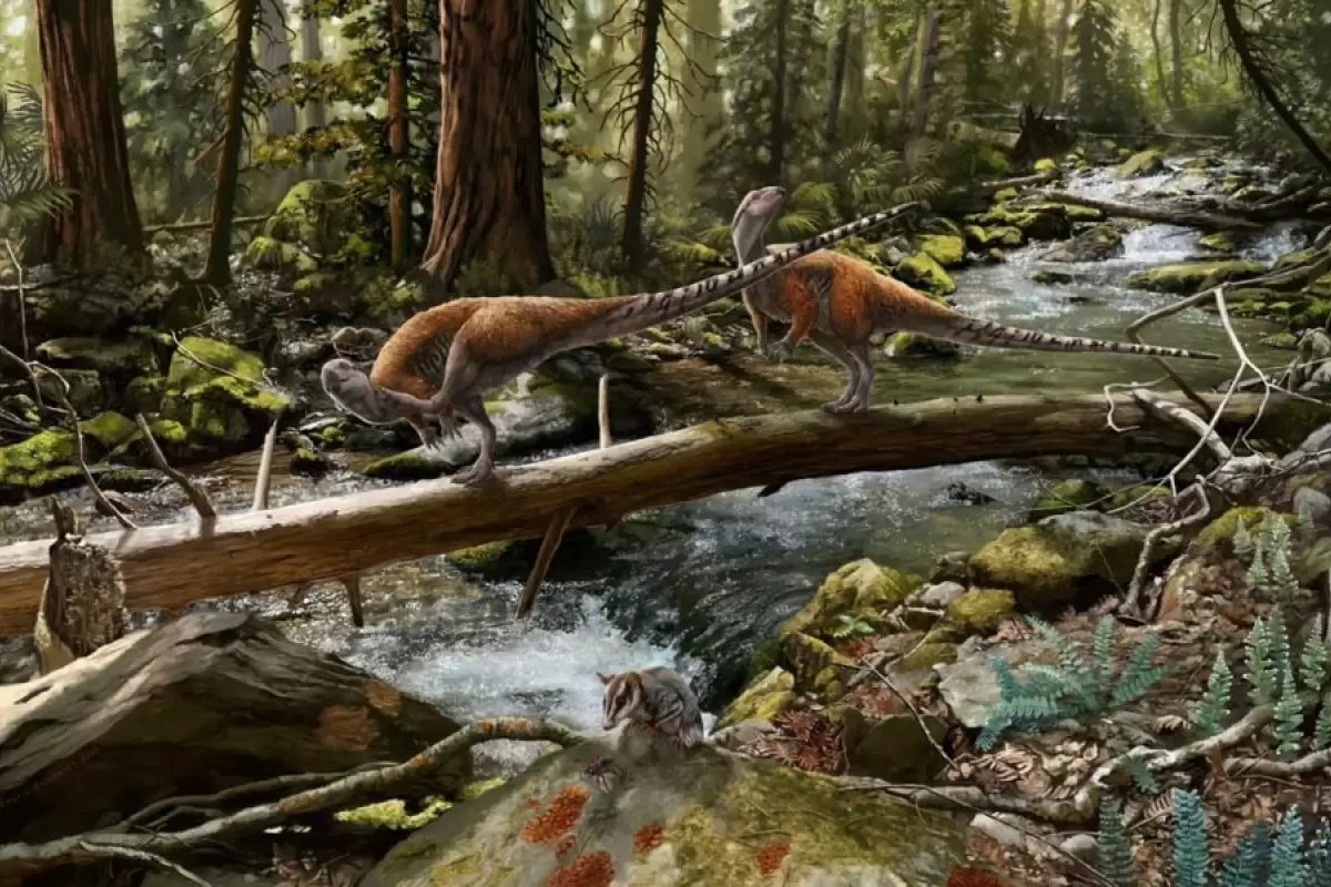 کشف گونه جدیدی از دایناسورها با اندازه‌ای شبیه مرغ‌ در انگلیس