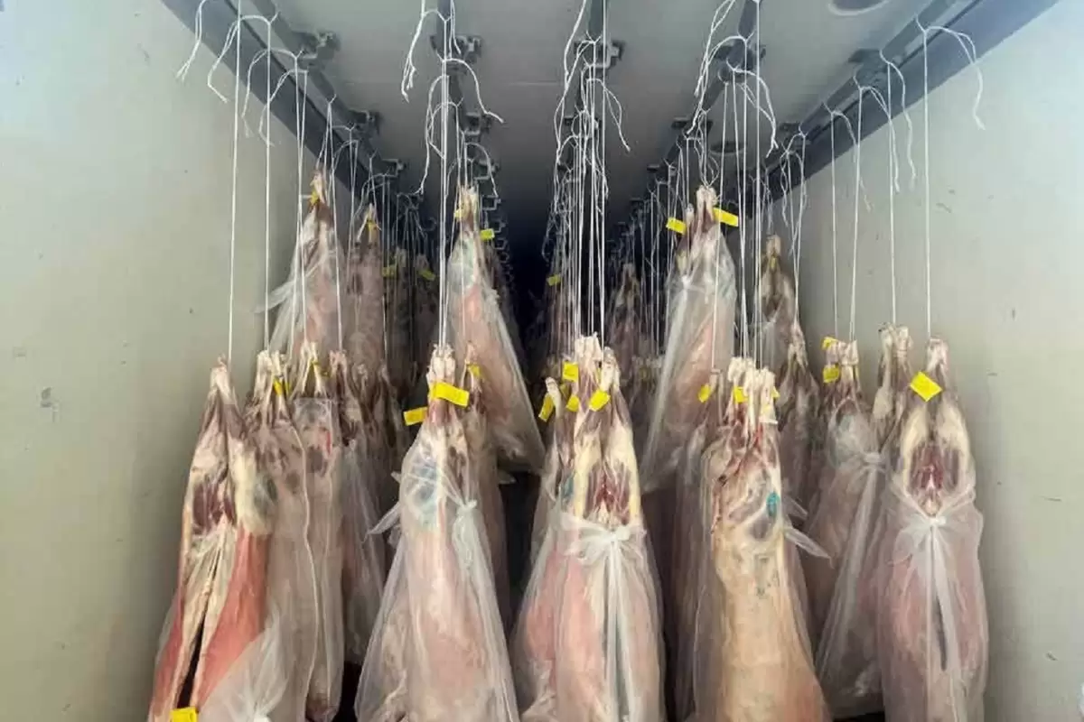 ارسال اولین محموله گوشت از کنیا به ایران؛ گوشت‌ تنظیم‌بازاری چند؟