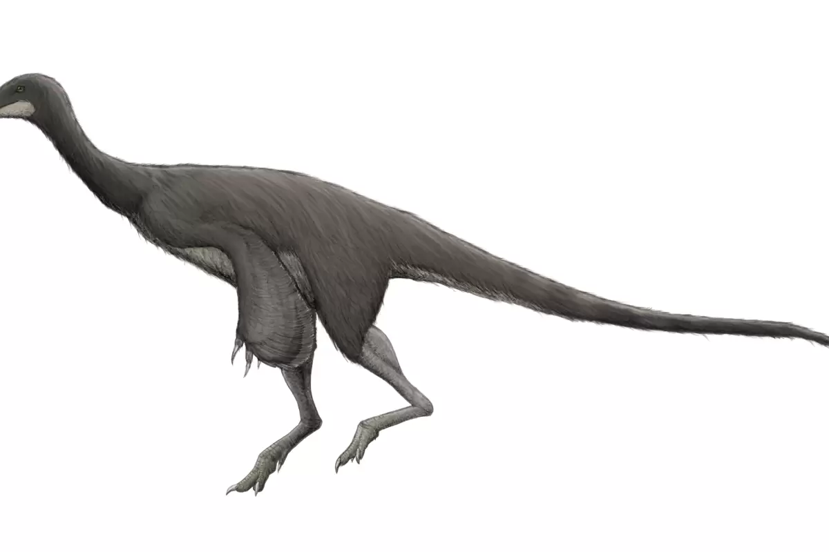 (عکس) کشف یک گونه جدید از دایناسور که هرگز دندان نداشته!