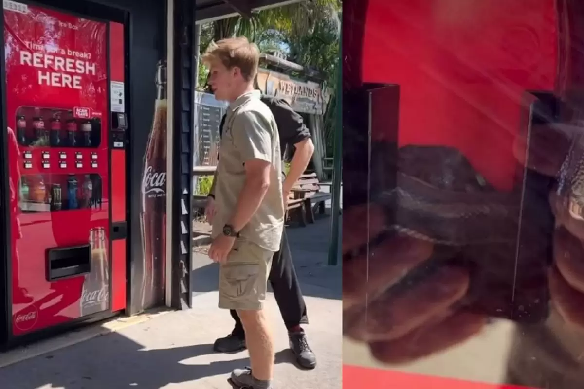 (ویدئو) پنهان شدن مار پایتون در دستگاه فروش نوشابه!